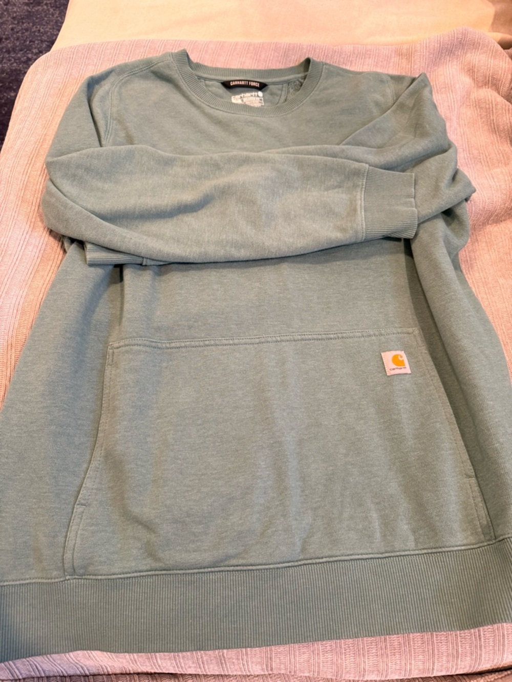 Carhartt Force Relaxed Fit Crewneck in Sage